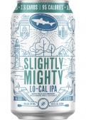 Dogfish Head - Slightly Mighty LoCal IPA (12 pack cans)