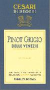 Due Torri - Pinot Grigio Friuli 2006